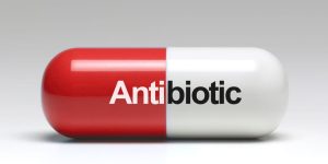 antibiotics