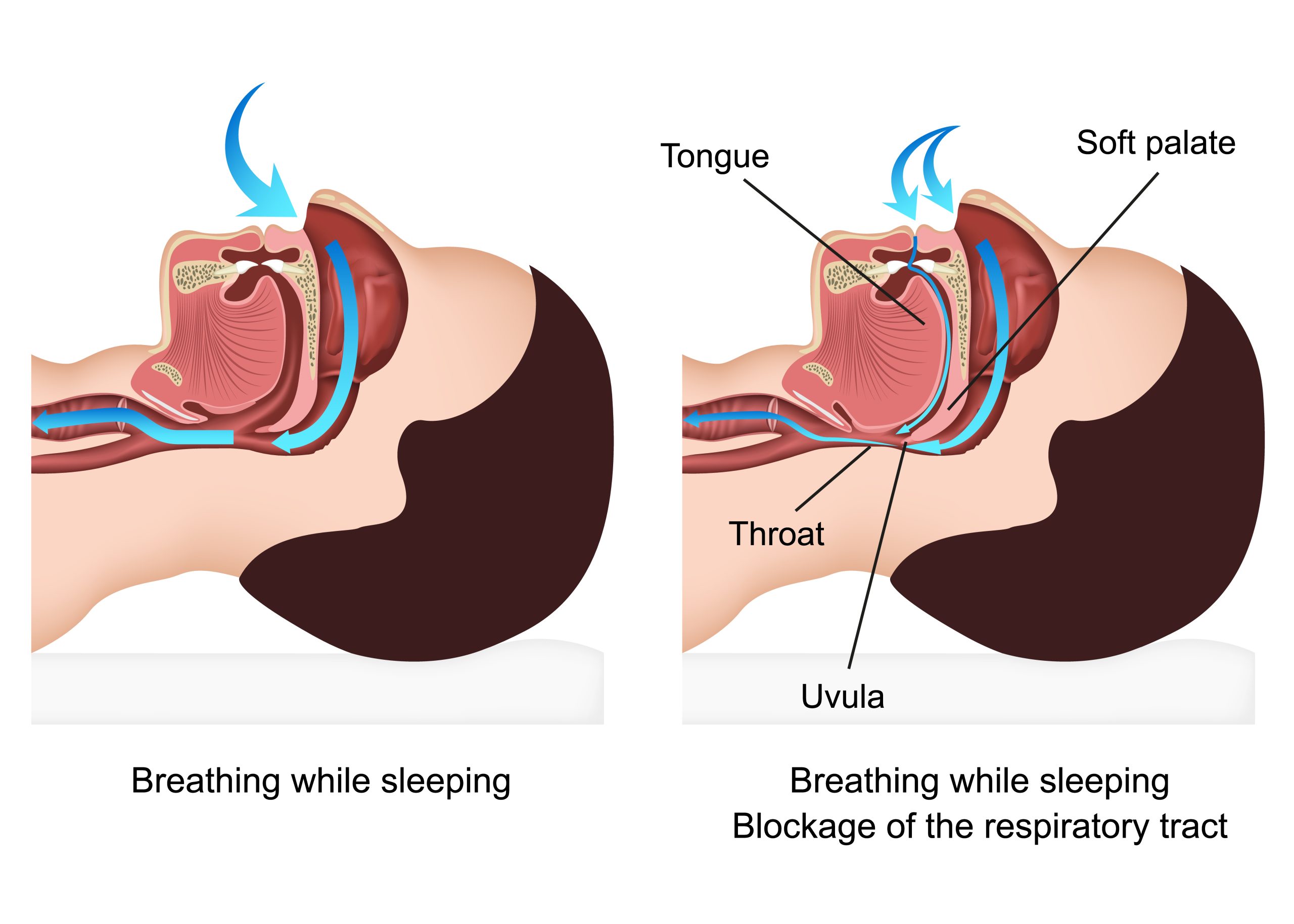 breathing image